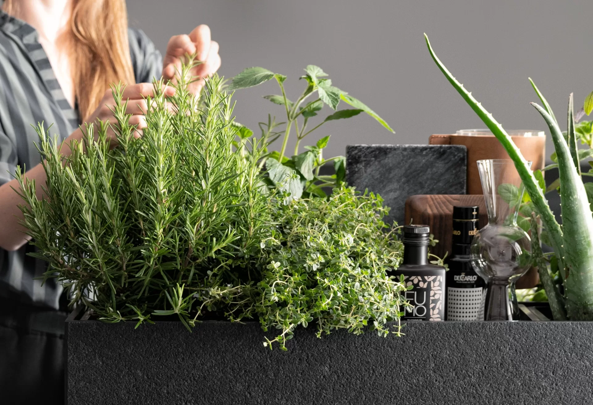 Integrated herb garden in a SieMatic URBAN kitchen
