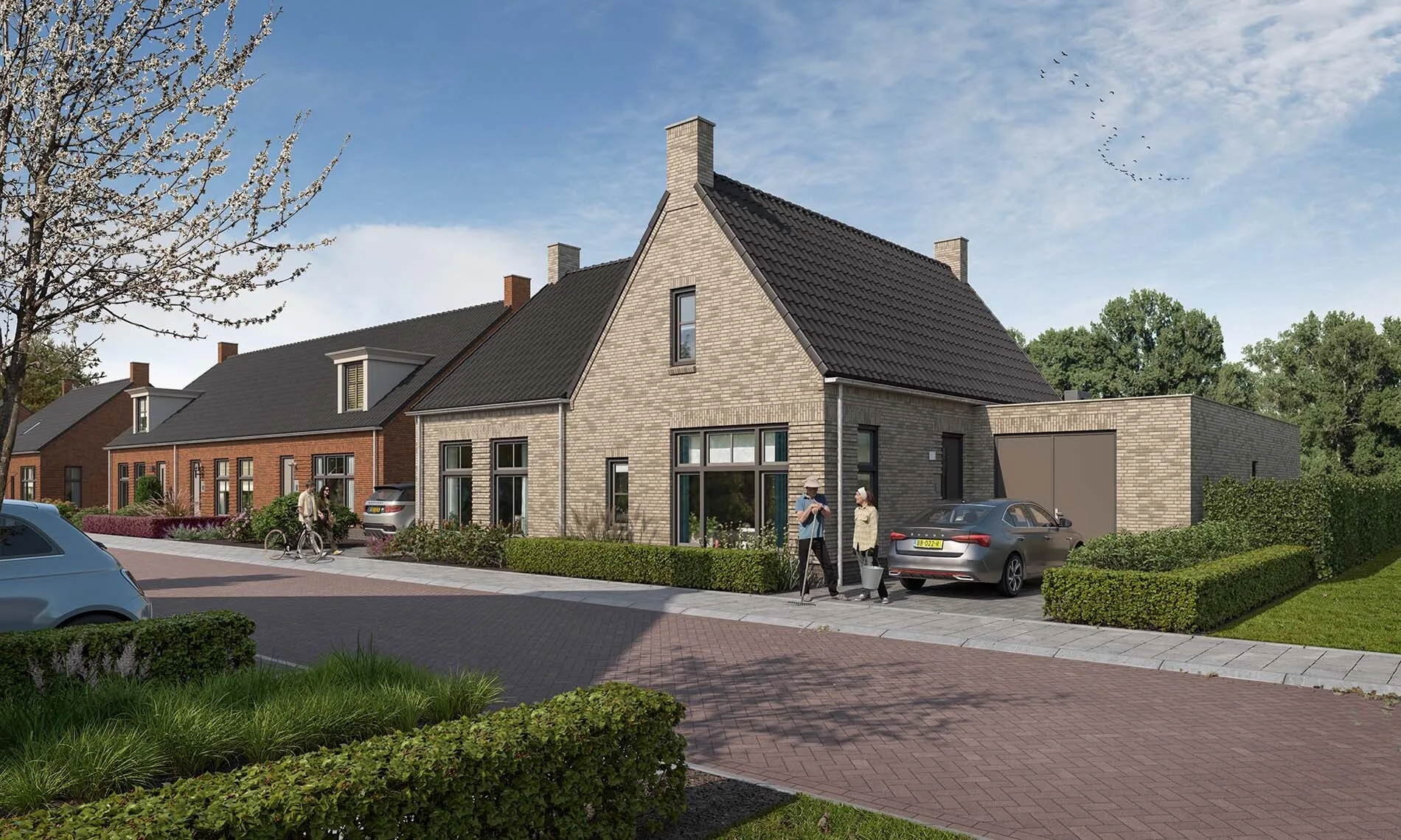 De Nieuwe Molen in Liessel